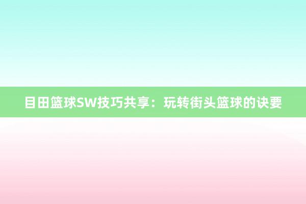 目田篮球SW技巧共享：玩转街头篮球的诀要